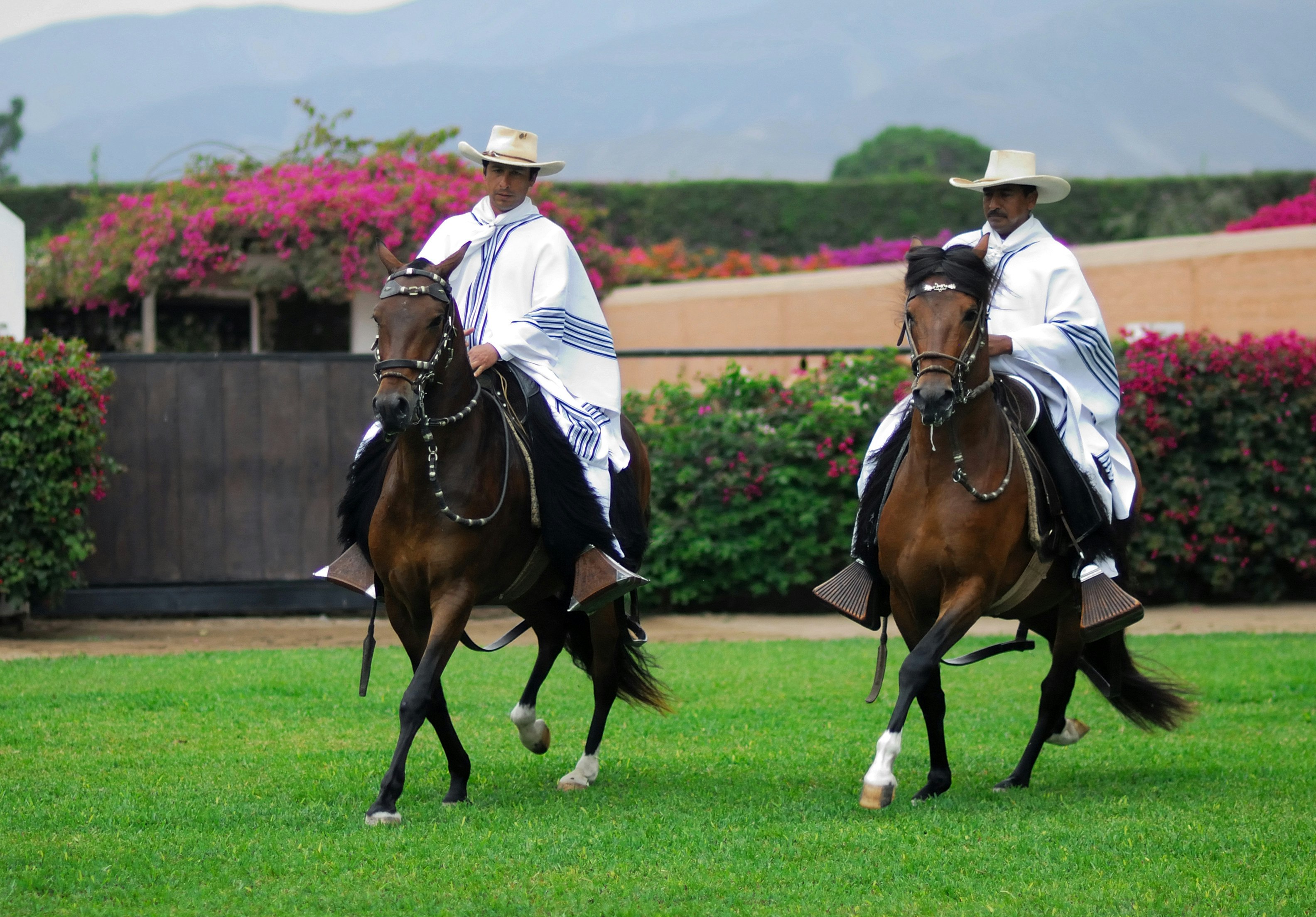 Pachacamac Temple, Peruvian Paso Horse & Artisan Store Private Tour from Lima - imagen #14