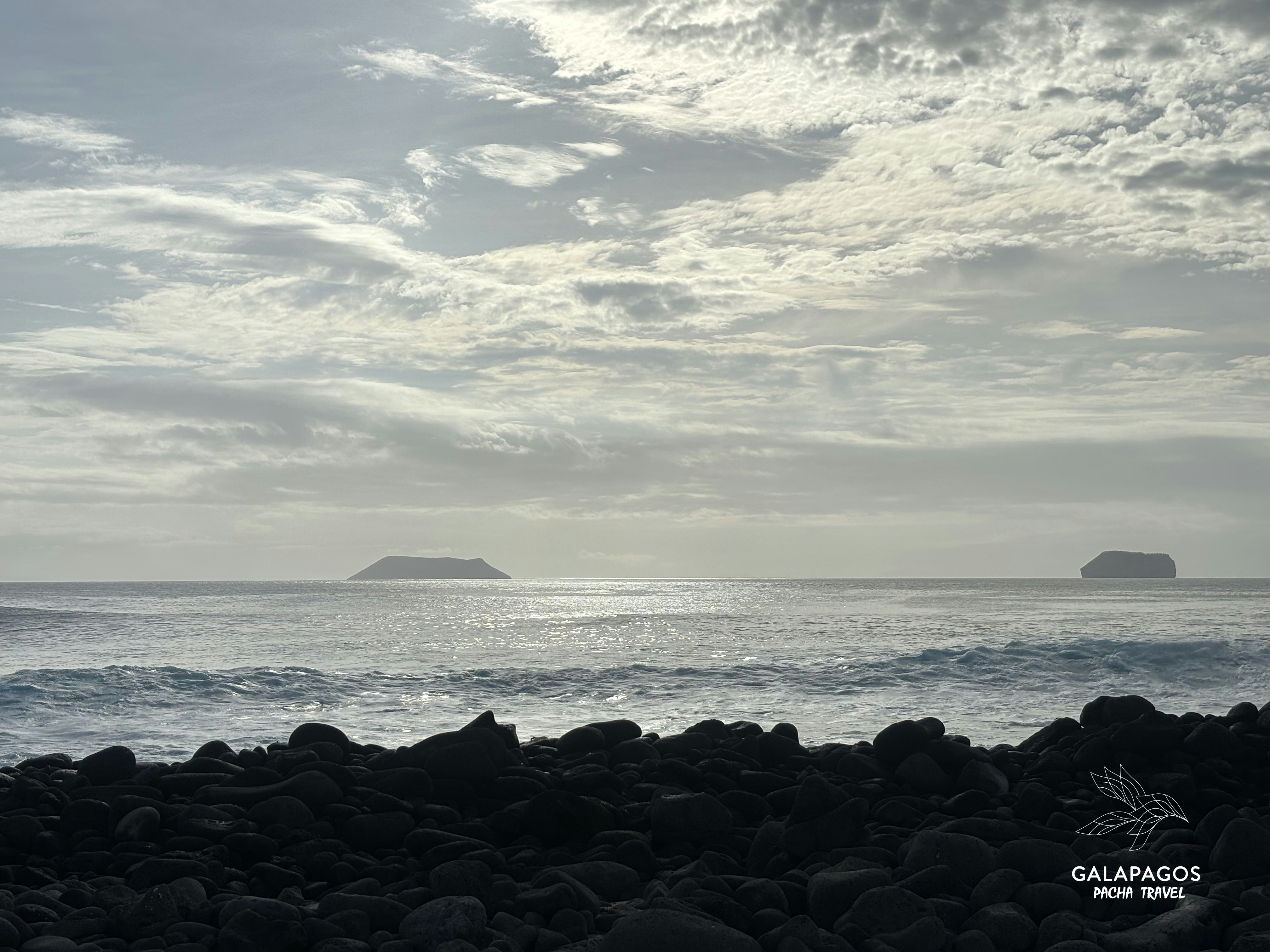 5 day / Sta. Cruz Highlands & C. Darwin RS, Bartolome, N. Seymour - imagen #15