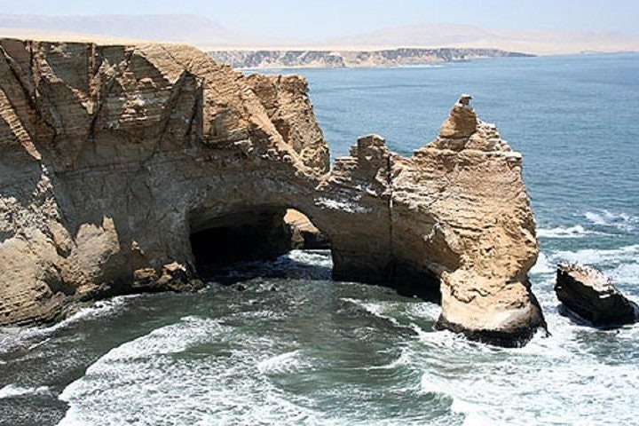 Paracas National Reserve Half Day Tour - imagen #3