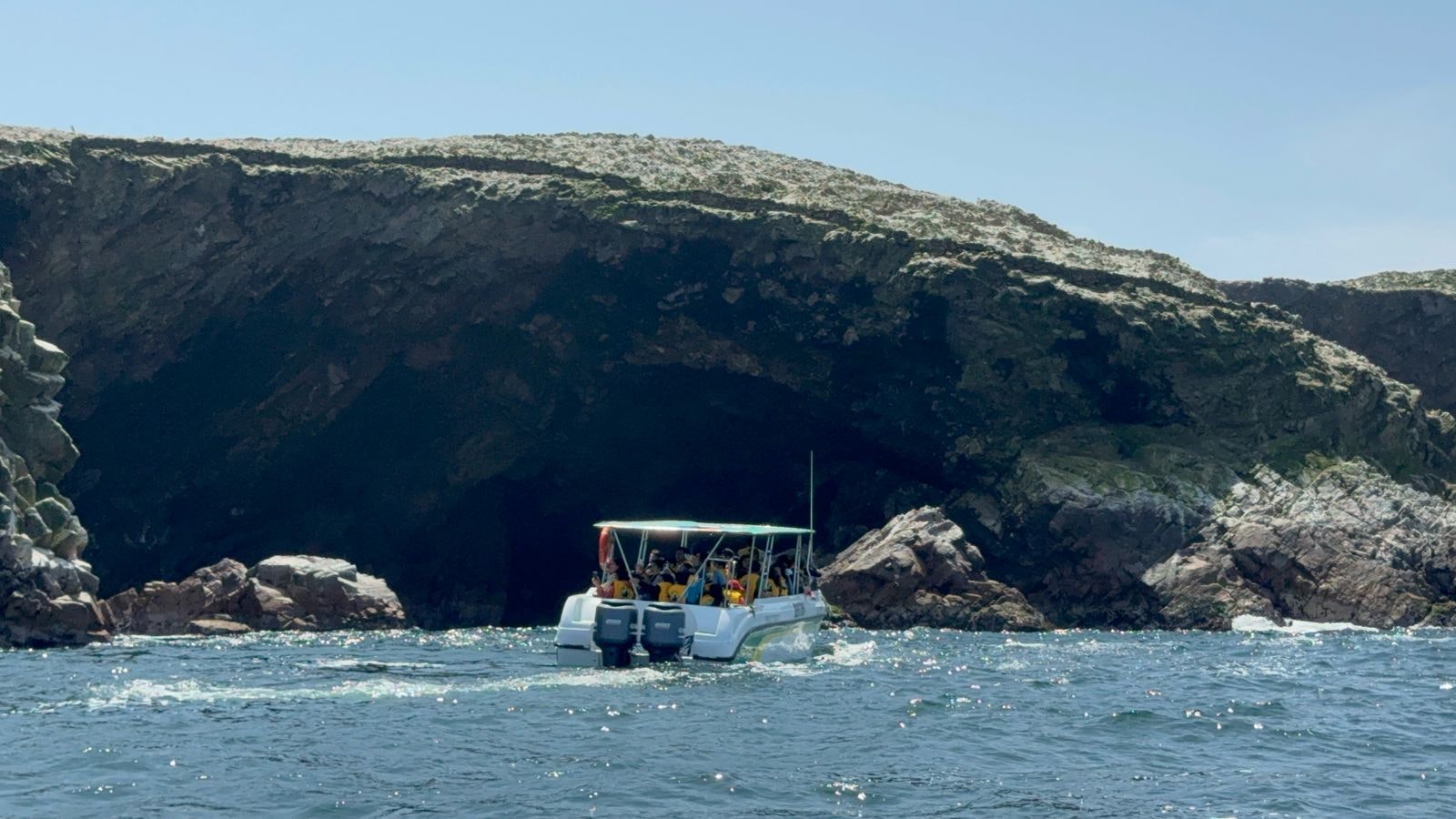 Ballestas Islands Sigthseeing Tour - imagen #9