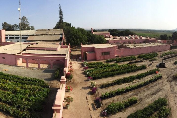 2-Day Pisco Tasting Journey in Ica with Viñas Queirolo Hotel Stay From Lima - imagen #5