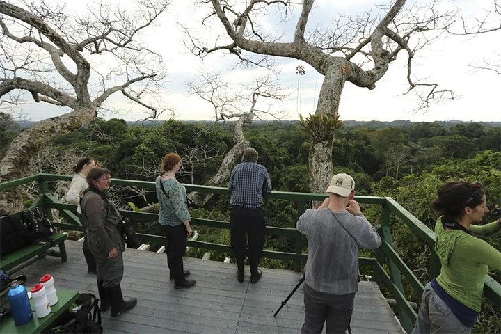 Tour por el Amazonas y el Yasuní: 5 días - 4 noches - imagen #4