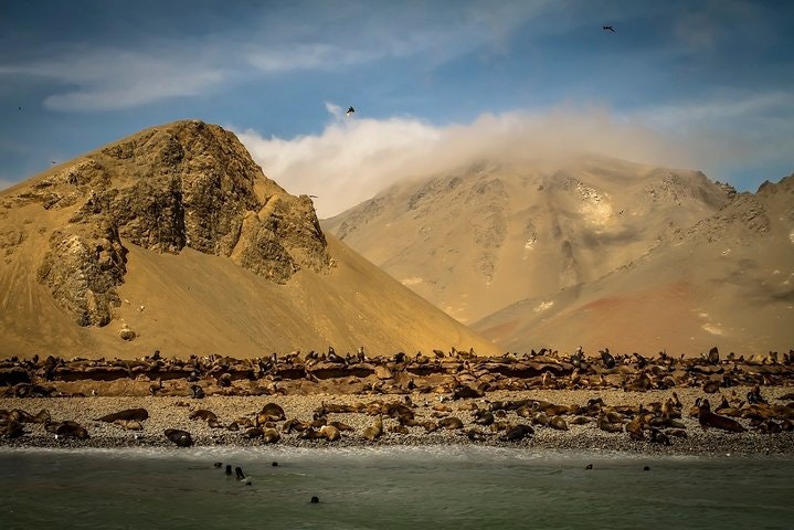 2-Day Nazca Lines and Ballestas Islands from Lima - imagen #7