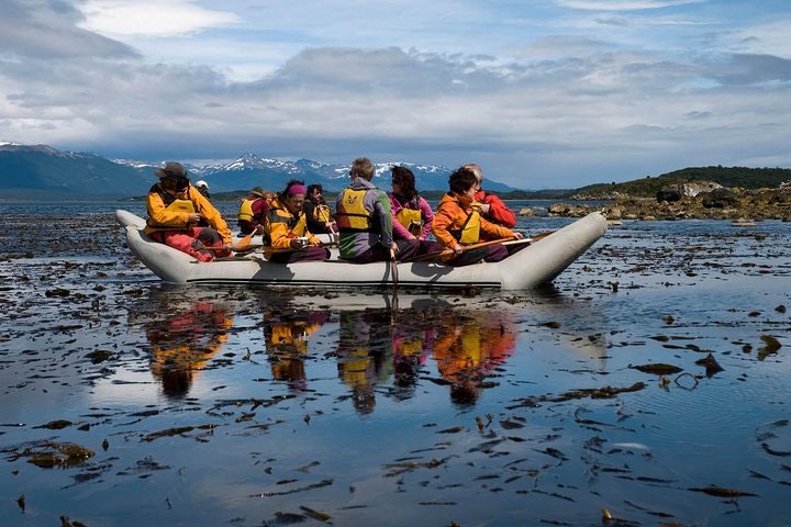 Tierra del Fuego Eco-Adventure: Beagle Channel Canoeing, Penguin Colony and Gable Island - imagen #4