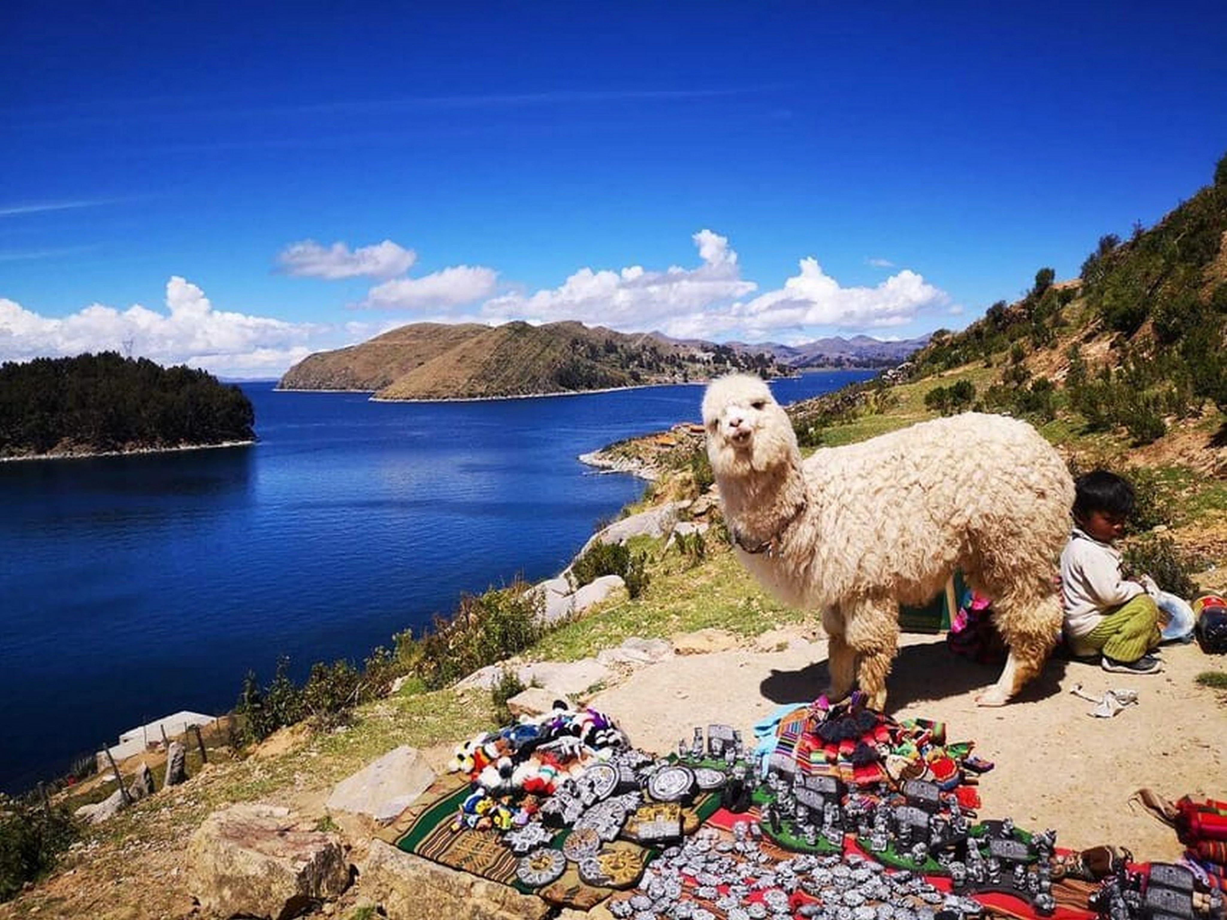 BO-PAZ-06: La Paz | Copacabana - Isla del Sol & Lake Titicaca - 2 Days Tour - imagen #10