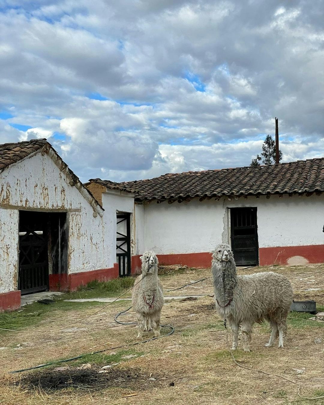 Caj-02 : Colonial Charms - Hacienda La Colpa - imagen #7