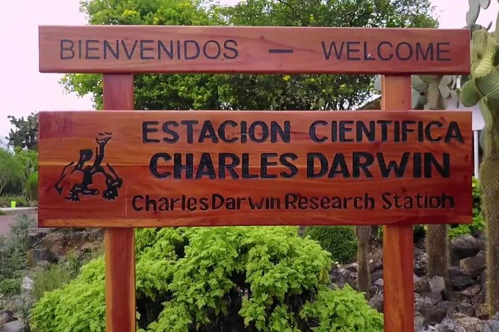 4 días en las Galápagos: las islas Isabela y Santa Cruz - imagen #3