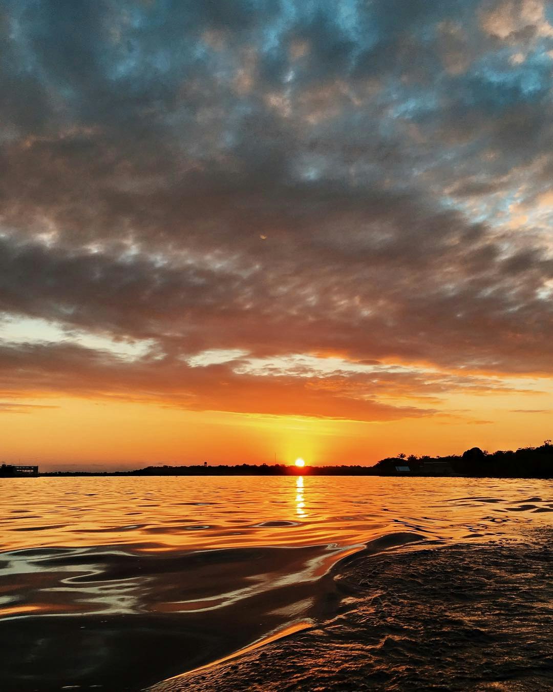 Lim-29 : Iquitos Jungle Adventure - 4 Days/3 Nights - imagen #6