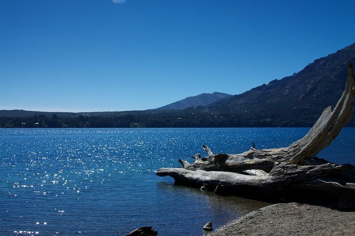 Lake Moreno or Lake Gutiérrez Kayak Tour from Bariloche - imagen #6