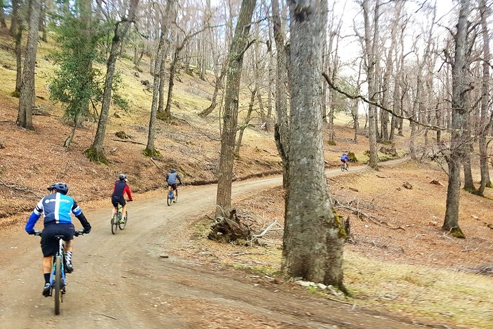 San Martin de los Andes Mountain Bike Adventure - imagen #10