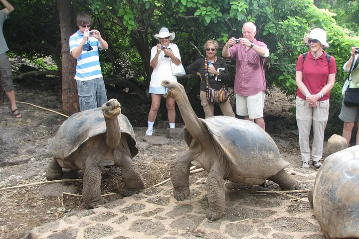 4 días en las Galápagos: las islas Isabela y Santa Cruz - imagen #10