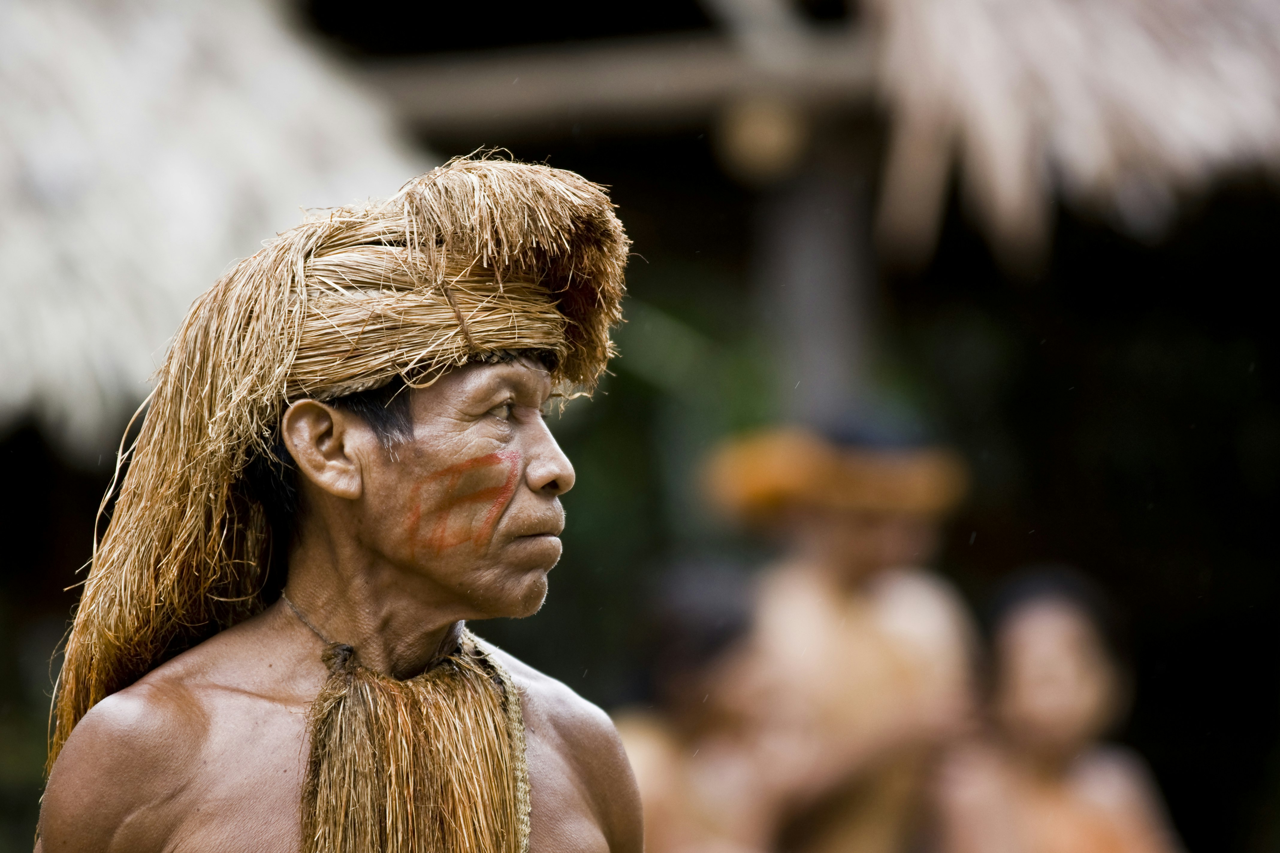 Iqu-02 : Iquitos Jungle - 2 Days Rainforest Discovery - imagen #5