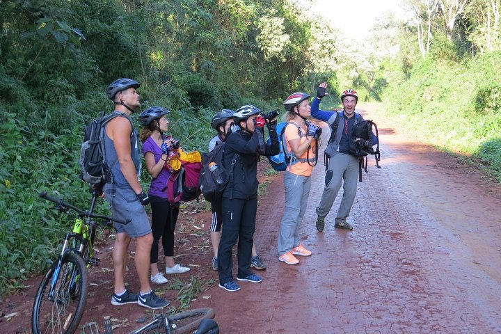 Jungle Wildlife Bike Tour to Iguazu National Park & Jaguar Road - imagen #7