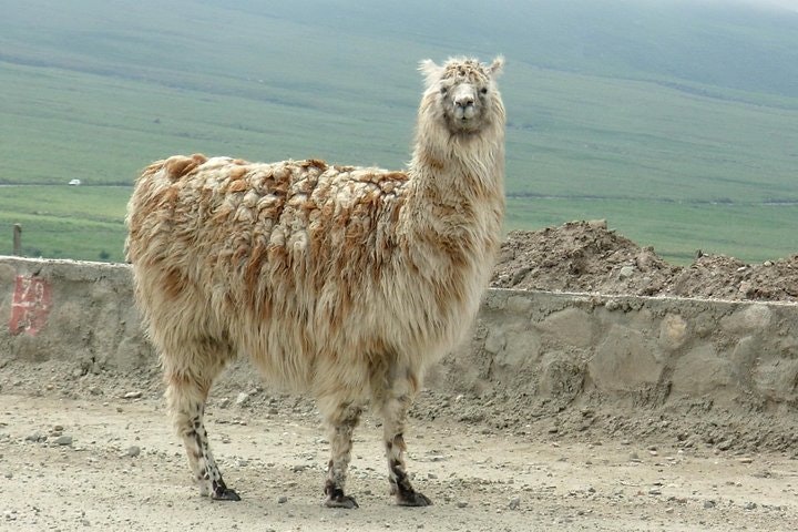 Tafi del Valle and Quilmes Ruins Full-Day Tour from Tucuman - imagen #4