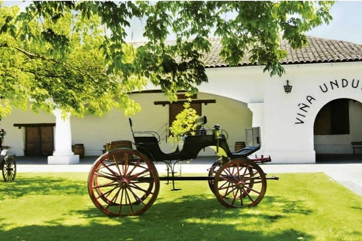 Half Day Trip to Undurraga Vineyard from Santiago - Wine Tasting Included - imagen #3