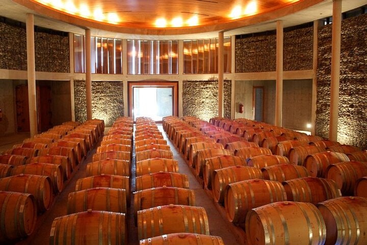 Casablanca Valley Wine Tour from Santiago - imagen #2