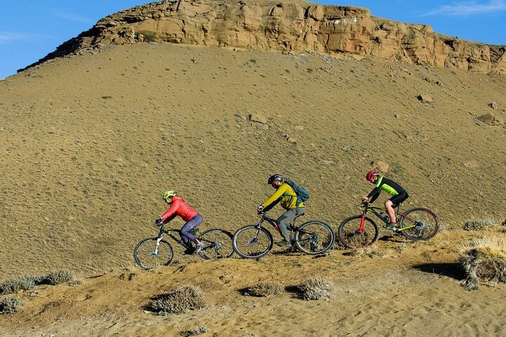 Patagonian Safari: Exploring Nature by Bike - imagen #11