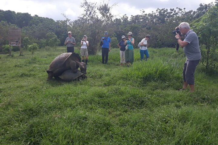 Galápagos: Excursión a Santa Cruz, 4 días - imagen #9