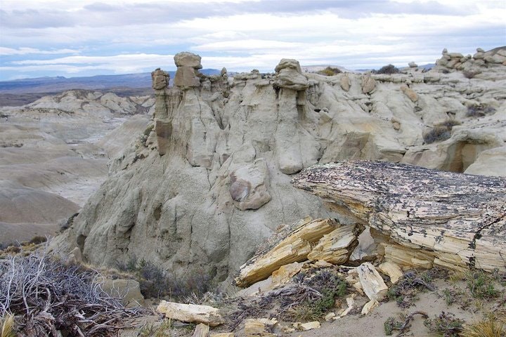 La Leona Petrified Forest Hiking Tour from El Calafate - imagen #3