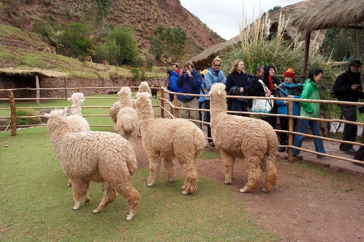 6-Days Exploring Cusco, Sacred Valley & Machu Picchu - imagen #6