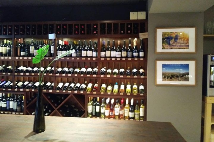 Tour de vinos argentinos premium y degustación gourmet - imagen #2