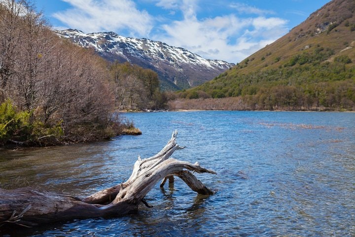 Excursión de un día al cerro Tronador desde Bariloche - imagen #2