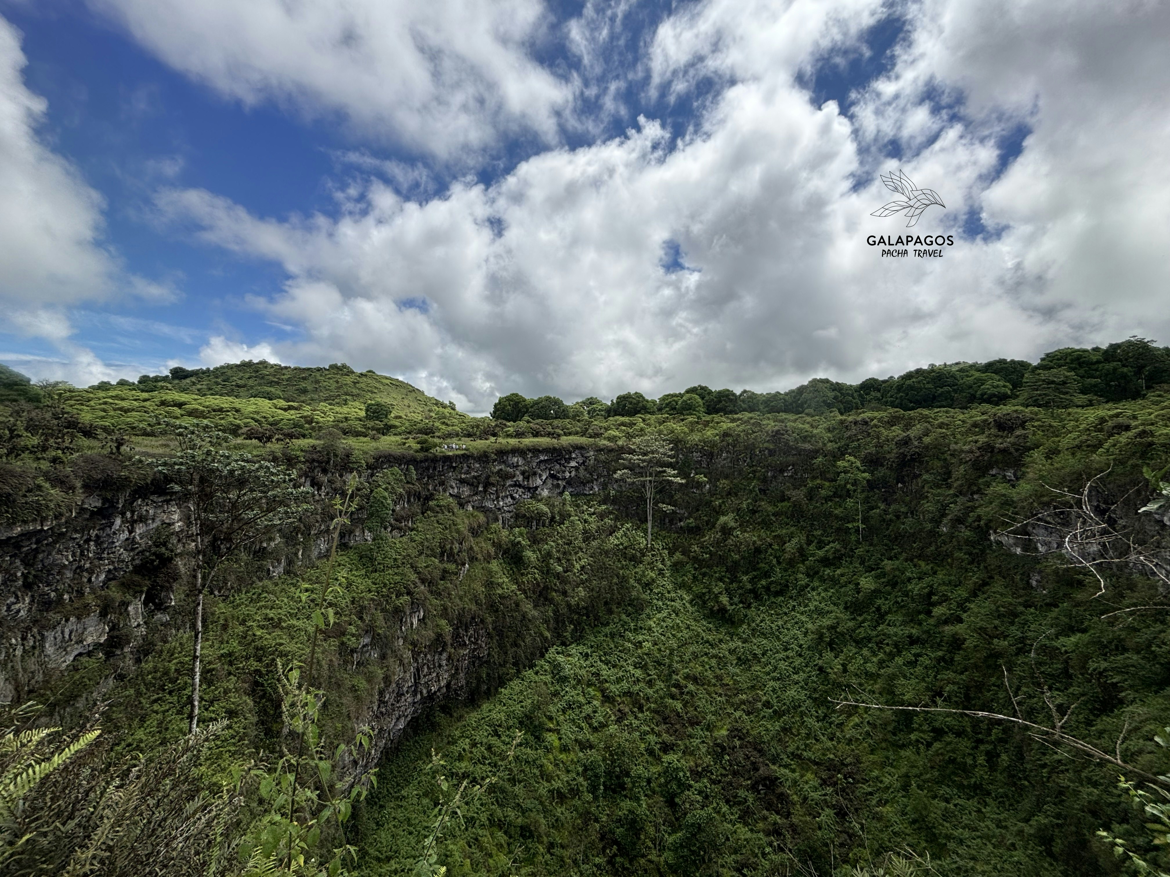 5 day / Sta. Cruz Highlands & C. Darwin RS, Bartolome, N. Seymour - imagen #30