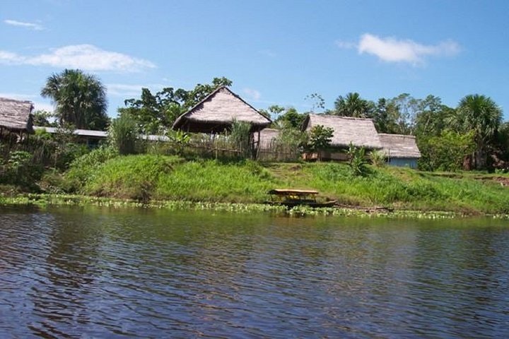 4 Day Trip To Pacaya Samiria In Iquitos - imagen #4