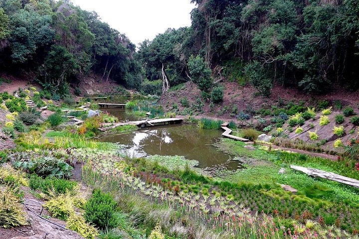 Tour to Parque Tricao + Aviario and Pomaire full day from Santiago - imagen #3