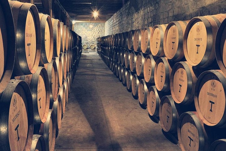 Private Full Day City Tour of Santiago with Wine Experience - imagen #5