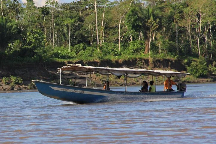 Tour por el Amazonas y el Yasuní: 5 días - 4 noches - imagen #2