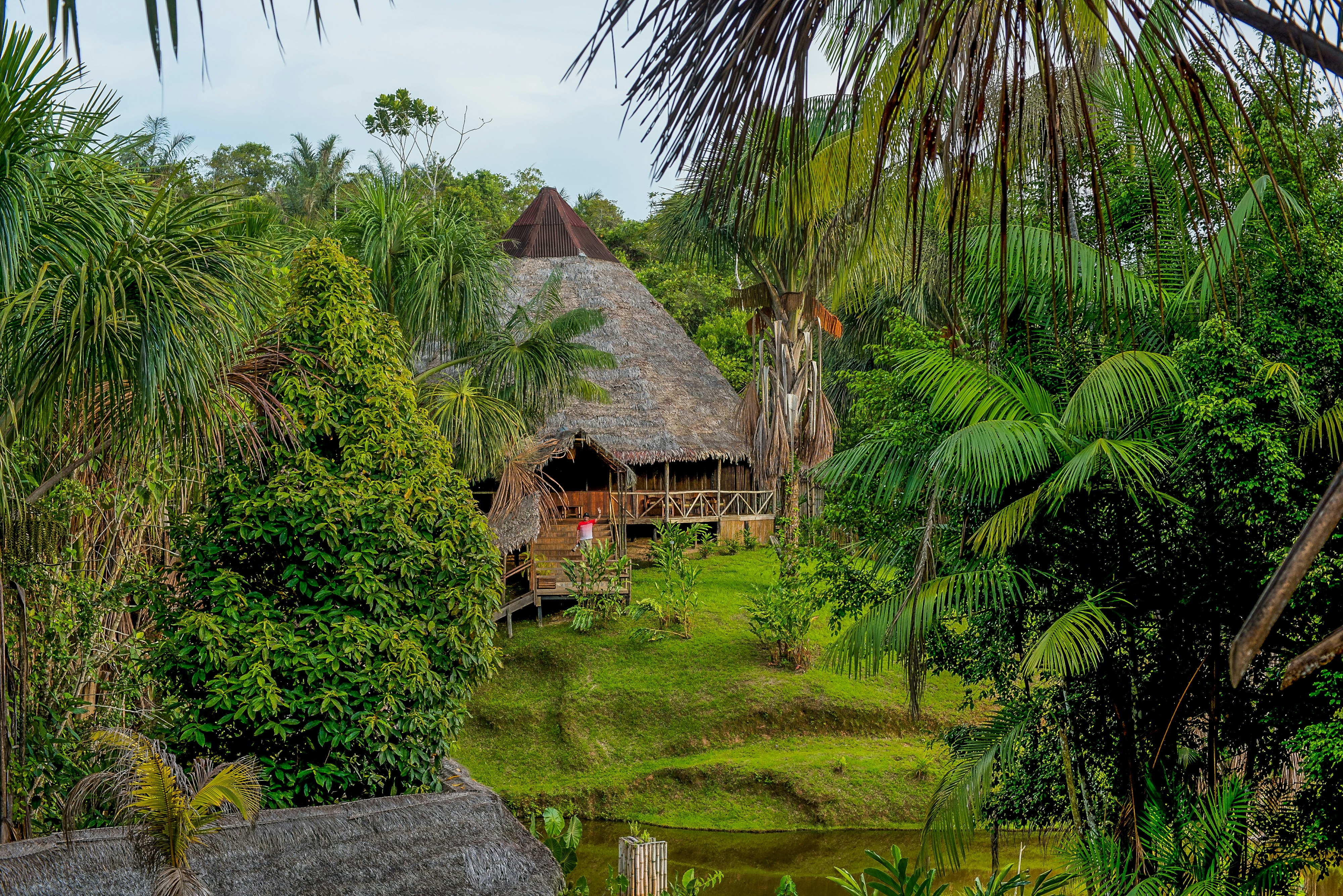4 Day Trip To Pacaya Samiria In Iquitos - imagen #6