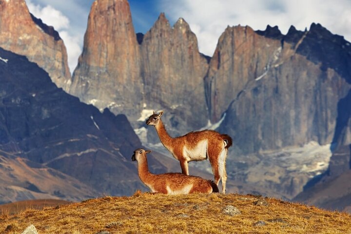 4-Day Trekking Experience at Torres del Paine from Puerto Natales - imagen #4