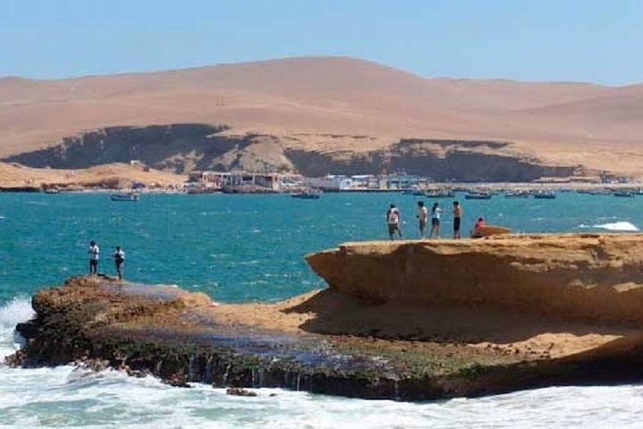 Paracas National Reserve Half Day Tour - imagen #4