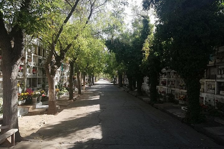 Historic Tour Chile in 1973 Government of Pinochet - imagen #24