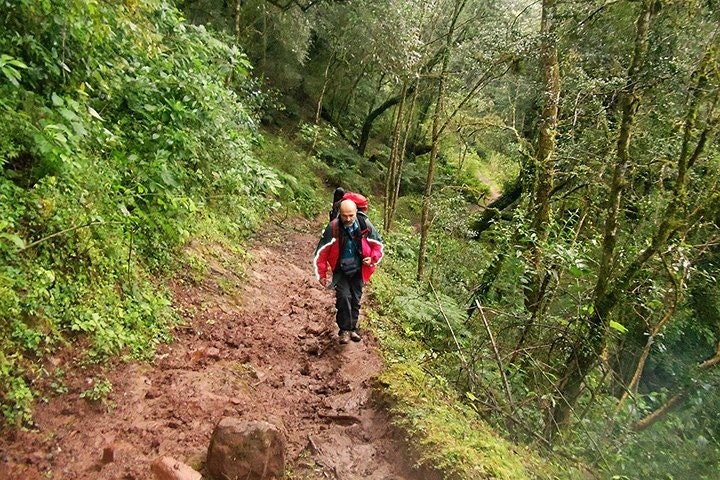 Yungas Half-Day Tour from Tucuman - imagen #5