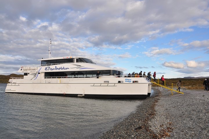 Martillo Island: Boat Trip to the Penguin Colony & Beagle Channel - imagen #6