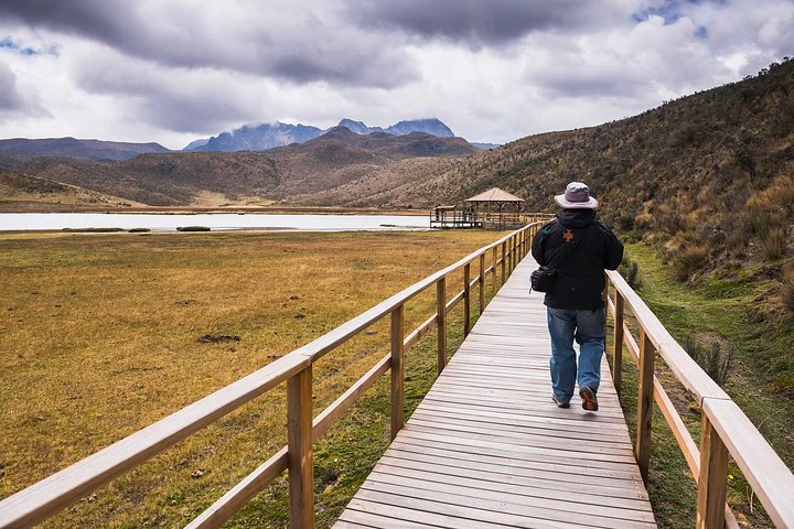 Visita privada al Parque Nacional del Cotopaxi + plantación de rosas - imagen #3