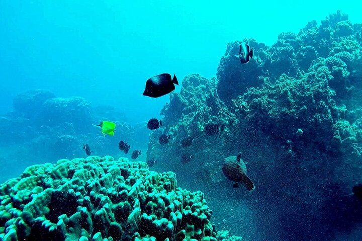 4-Day Adventure Tour in Easter Island - imagen #5