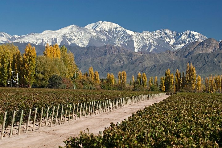 4-Days Trip to Mendoza and The Andes - imagen #7