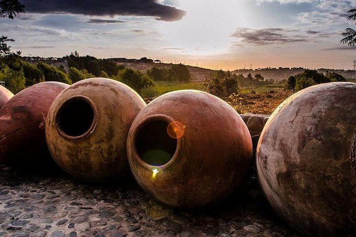 Arequipa Countryside, Sabandia Mill and Founder s Mansion Private Tour - imagen #3