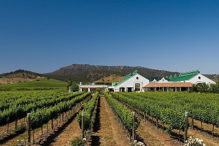 Half Day Trip to Casas del Bosque Vineyard from Santiago - Wine Tasting Included - imagen #2