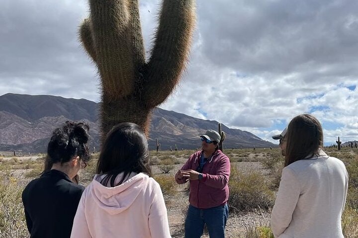 2-Day Calchaquí Valley Tour to Cachi and Cafayate - imagen #10