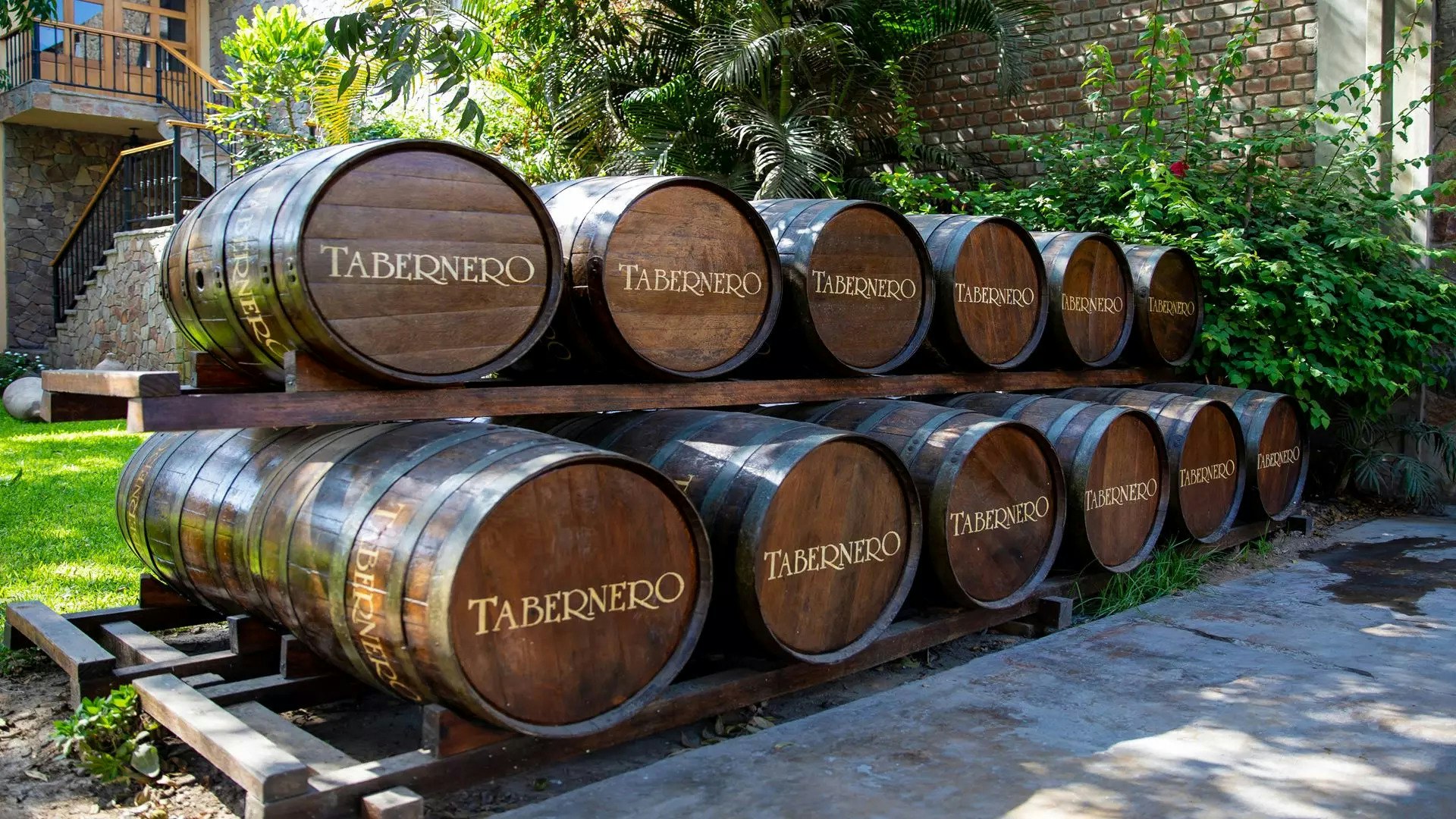 Ica-03 : Pisco and Wine Tasting Tour - Embarking on the Pisco Route - imagen #7