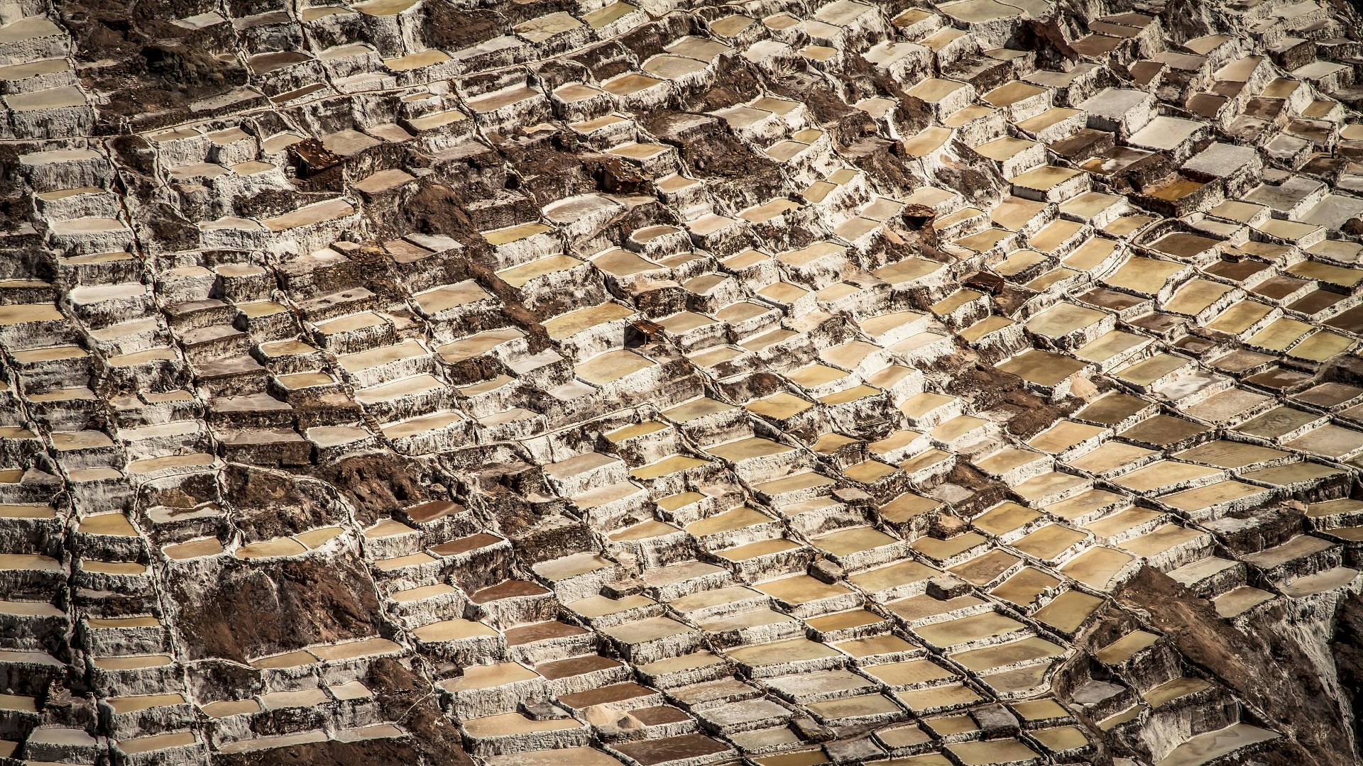 Maras Moray Chinchero Tour - imagen #6