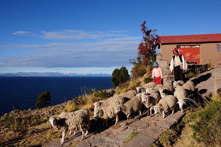 Titicaca Lake, Uros Floating Islands & Taquile Community Island Full-Day Tour from Puno - imagen #10
