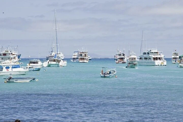Traslado de la isla de Santa Cruz a la isla de San Cristóbal - imagen #5