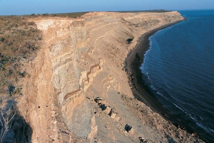 Full Day Tour to Punta Ninfas from Puerto Madryn - imagen #7