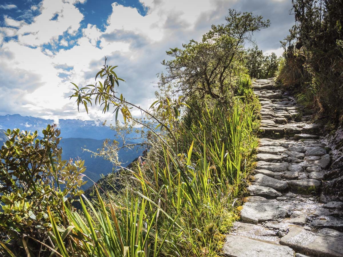 Cus-04 : Salkantay Trek - Epic Hike to Machu Picchu - imagen #7