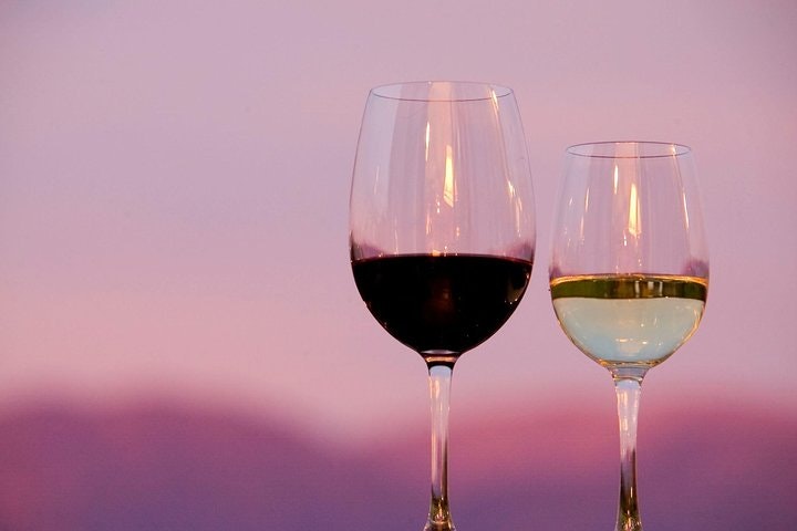 Half-Day Wine Road Premium Tour From Cafayate - imagen #5